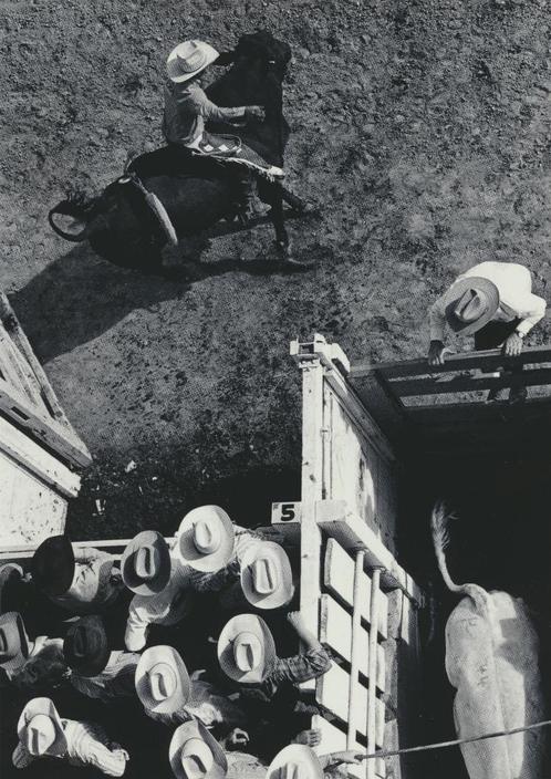 Douglas Kent Hall (1938 - 2008) - Bullriding,Oregon -1973, Antiek en Kunst, Kunst | Tekeningen en Foto's, Verzenden