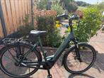 Pegasus ravenna evo 8f, Fietsen en Brommers, Elektrische fietsen, Zo goed als nieuw, 50 km per accu of meer, 55 tot 59 cm, Ophalen