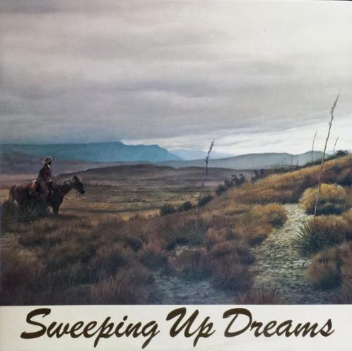 2 LP's van Allen Wayne Damron (veel korting), Cd's en Dvd's, Vinyl | Rock, Singer-songwriter, 12 inch, Ophalen