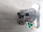 Mooie koala knuffel australie, Ophalen of Verzenden, Nieuw