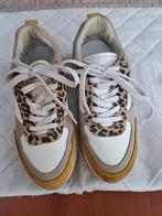 Bull Boxer, Ophalen of Verzenden, Gedragen, Sneakers of Gympen