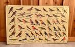 Vintage Schoolplaten Vogels, Ophalen, Natuur en Biologie