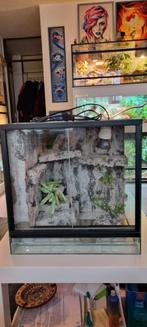 Terrarium 40x40x40, Ophalen, Zo goed als nieuw, Terrarium of Paludarium
