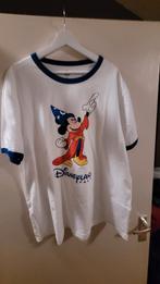 Disneyland parijs shirt xxl, Ophalen of Verzenden, Zo goed als nieuw, Overige maten