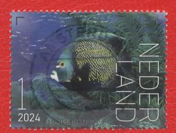 Beleef de Natuur - Franse Keizersvis - '24 - gebr (p .A'dam) beschikbaar voor biedingen