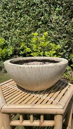2 stuks planten schaal crème, Tuin en Terras, Bloembakken en Plantenbakken, Minder dan 30 cm, Minder dan 60 cm, Rond, Ophalen of Verzenden