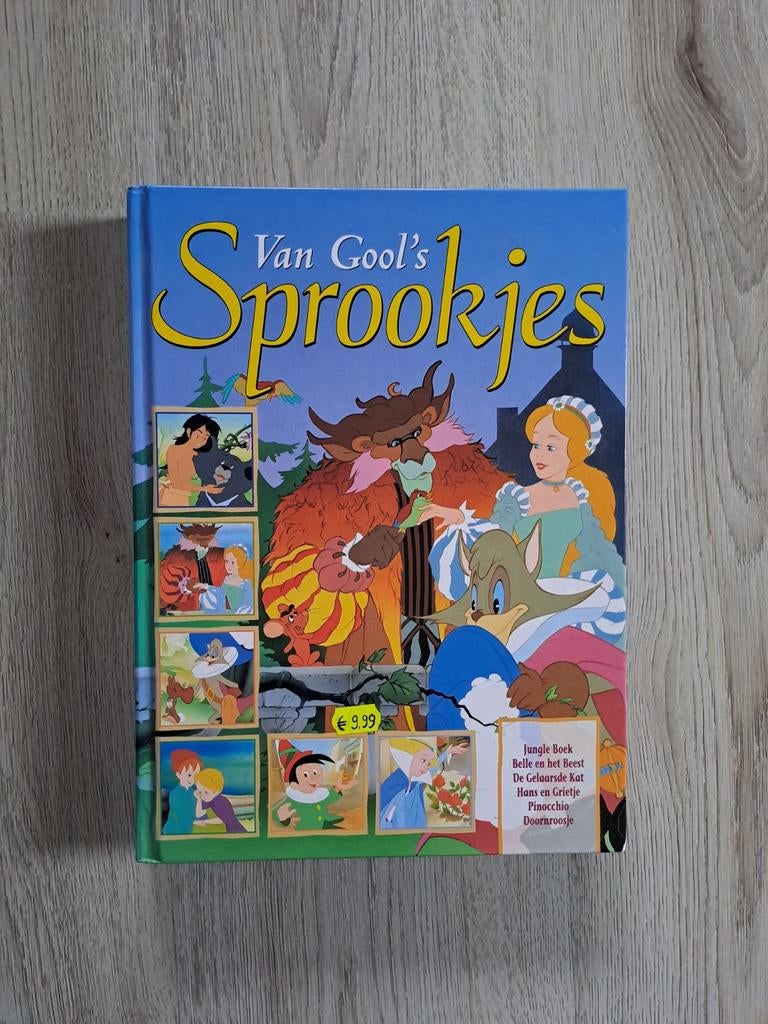 Van Gool's Sprookjesboek groot sprookjes kinderboek, Ophalen of Verzenden, Zo goed als nieuw, Van Gool