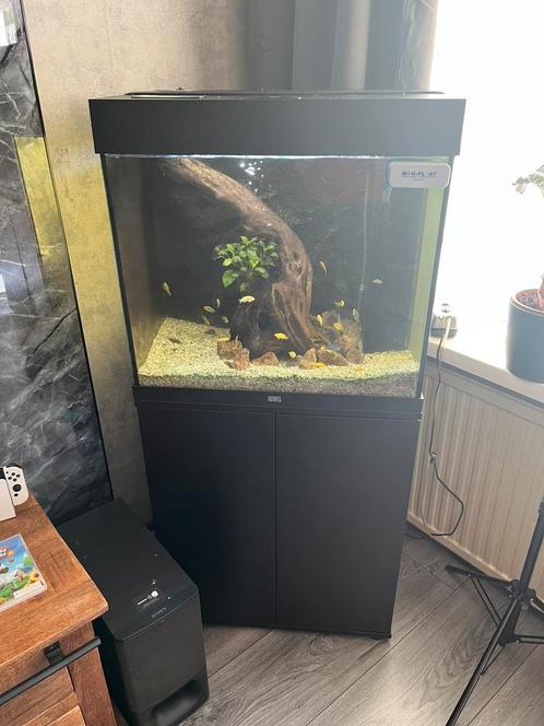 Juwel lido 120 met bijpassende kast tekoop, Dieren en Toebehoren, Vissen | Aquaria en Toebehoren, Leeg aquarium, Ophalen