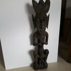 Hampatong kalimantan, Ophalen of Verzenden