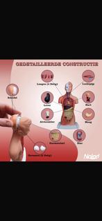 Torso, Ophalen of Verzenden