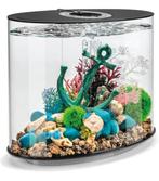 Gezocht BIORB, Dieren en Toebehoren, Vissen | Aquaria en Toebehoren, Autospazwolle@gmail.com, Zo goed als nieuw, Leeg aquarium