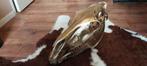 Gouden Paardenschedel - Uniek Decoratieobject, Ophalen of Verzenden, Gebruikt