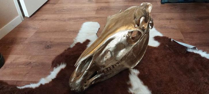 Gouden Paardenschedel - Uniek Decoratieobject, Huis en Inrichting, Woonaccessoires | Wanddecoraties, Gebruikt, Ophalen of Verzenden