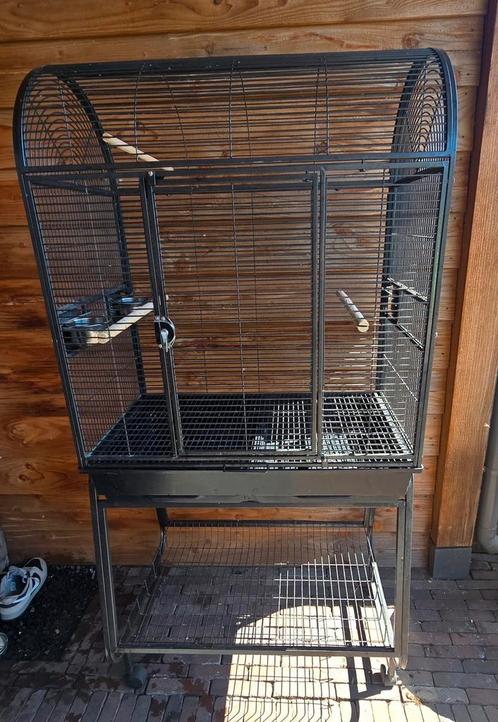 Complete  papagaaien kooi met onderstel, Dieren en Toebehoren, Vogels | Hokken en Kooien, Zo goed als nieuw, Vogelkooi, Metaal