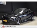 BMW 2 Serie Cabrio 220i M Sport Automaat Leder Groot Navi Cl, Automaat, Gebruikt, 4 cilinders, Cabriolet