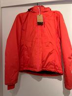 Skijas maat S, Nieuw, Ophalen of Verzenden, Jack, Mountain Peak