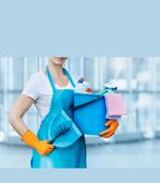Schoonmaakster aangeboden, Vacatures, Vacatures | Schoonmaak en Facilitaire diensten