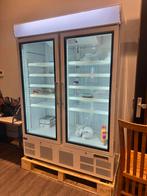 Grote Koelcel in Goede Staat - Horeca Apparatuur, Witgoed en Apparatuur, Koelkasten en IJskasten, Ophalen of Verzenden, Gebruikt