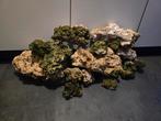 Doodsteen/vulsteen 53 kilo zeeaquarium, Dieren en Toebehoren, Vissen | Aquaria en Toebehoren, Ophalen of Verzenden, Zo goed als nieuw