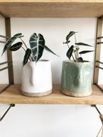 Groene en witte bloempot set, Ophalen of Verzenden, Zo goed als nieuw