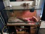 Terrarium, Dieren en Toebehoren, Reptielen en Amfibieën | Toebehoren, Ophalen, Zo goed als nieuw