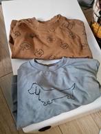 Sproet en sprout sweaters truien appel en hond maat 6 116, Ophalen of Verzenden, Zo goed als nieuw, Trui of Vest