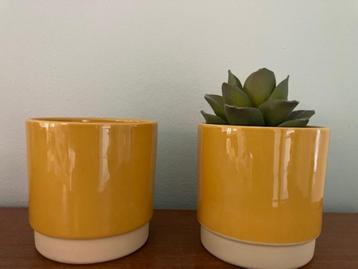 Set van 2 bloempotten Gina Da Eno Duo geel NIEUW 10 x 11 cm. beschikbaar voor biedingen