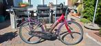 Mizz Nex Generation 24 inch, Ophalen, Gebruikt, 24 inch