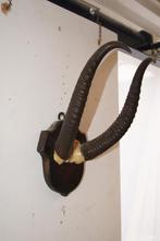 Herten gewei, Ophalen of Verzenden, Zo goed als nieuw, Hert, Gewei of Kop