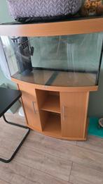 Aguarium en aquariummeubels, Dieren en Toebehoren, Vissen | Aquaria en Toebehoren, Ophalen of Verzenden, Zo goed als nieuw, Plant(en), Steen of Hout