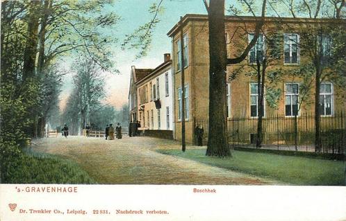 (379-110-031) Den Haag  Boschhek, Verzamelen, Ansichtkaarten | Nederland, Zuid-Holland, Verzenden