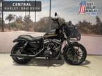 Harley-Davidson Iron 883, Motoren, Bedrijf, 883 cc, Meer dan 35 kW, Overig
