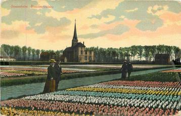 (381-315-023) Sassenheim Hiacintenvelden beschikbaar voor biedingen