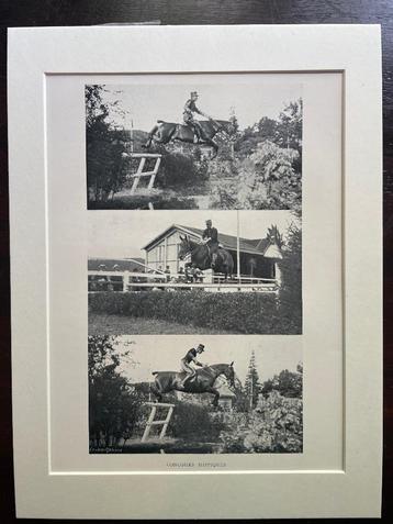 Paarden prent 1907 Concours Hippiques beschikbaar voor biedingen
