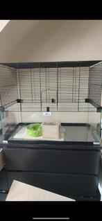 Mooi hamster/gerbil hok inc. Zak voer hamster, Dieren en Toebehoren, Knaagdieren en Konijnen | Hokken en Kooien, 60 tot 90 cm