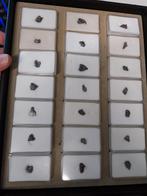 Lot met kleine campo del cielo meteorieten, Verzamelen, Mineralen en Fossielen, Ophalen of Verzenden, Fossiel