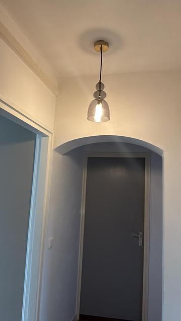 Antrasite glazen plafondlamp beschikbaar voor biedingen