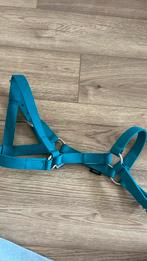 Nieuw halster helblauw, Dieren en Toebehoren, Ophalen of Verzenden, Zo goed als nieuw, Overige soorten
