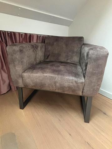 Design Bruine fluwelen fauteuil met metalen onderstel beschikbaar voor biedingen