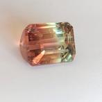 Bi-Color Tourmaline, Sieraden, Tassen en Uiterlijk, Edelstenen, Ophalen of Verzenden, Nieuw