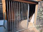 Hondenren paneel 200x200 zeer stevig!, Dieren en Toebehoren, Hondenhokken, Hondenkennel, 110 cm of meer, 100 cm of meer, Ophalen of Verzenden