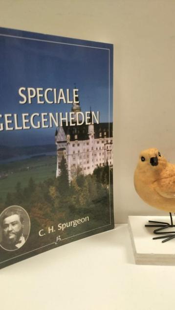 Spurgeon, C.H.; Speciale gelegenheden (Boekhoutserie nr 30)  beschikbaar voor biedingen