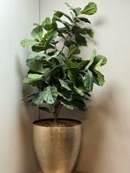 Kunstplant vioolbladplant ficus lyrata zonder de pot, Ficus, 100 tot 150 cm, Groene kamerplant, Halfschaduw