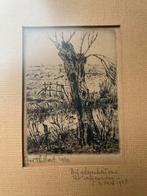Ets van een Boom, wilg door J v.d. Thillart, Antiek en Kunst, Kunst | Etsen en Gravures, Ophalen of Verzenden