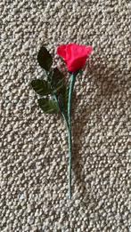 Cadeau roosjes rood, Hobby en Vrije tijd, Feestartikelen, Ophalen of Verzenden, Zo goed als nieuw, Versiering, Verjaardag