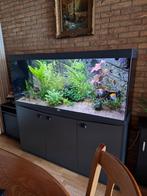 aquarium aquatlantis 450 liter, Ophalen, Zo goed als nieuw, Overige typen