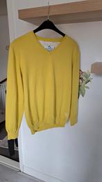 Gele trui Born With Appetite - Maat L, Maat 52/54 (L), Born With Appetite, Geel, Ophalen of Verzenden