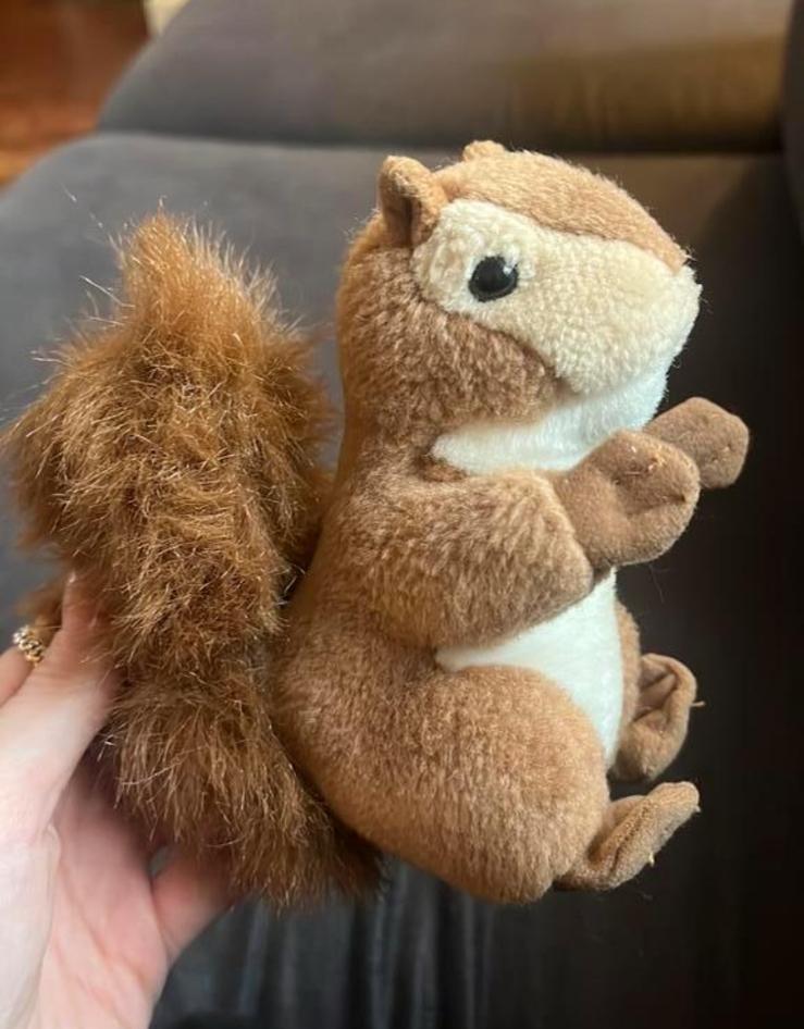 Eekhoorn knuffel, Ophalen of Verzenden, Zo goed als nieuw, Stoffen beer, Overige merken