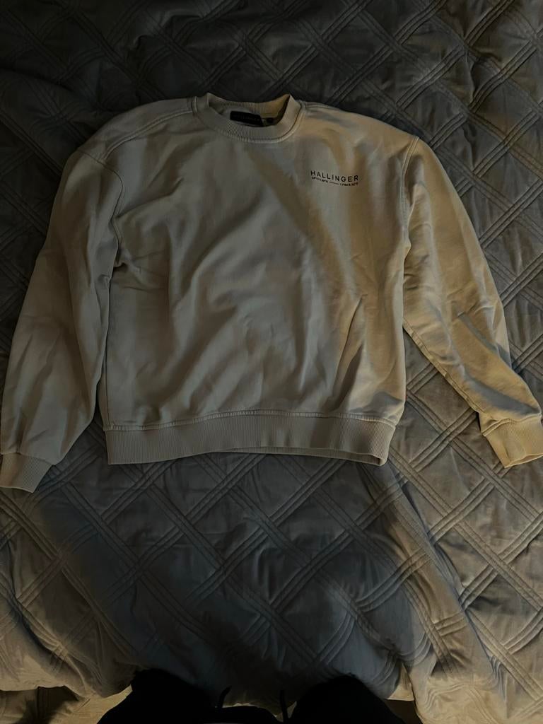 Hallinger trui in zeer nette staat, Ophalen of Verzenden, Nieuw, Maat 48/50 (M), Beige