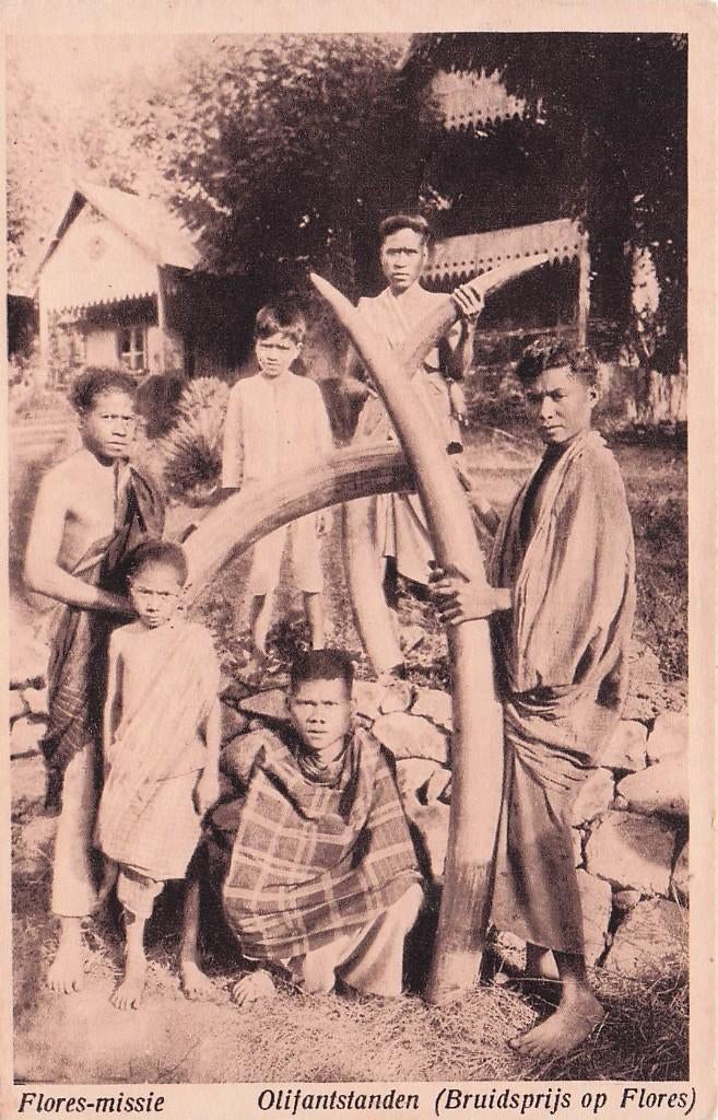 Nederlands Indië - Olifantetanden bruidsprijs Flores 1943, Ophalen of Verzenden, 1940 tot 1960, Buiten Europa